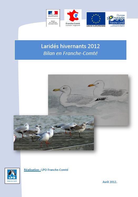 http://files.biolovision.net/franche-comte.lpo.fr/userfiles/observer/Larideshivernant/PagedecouvLarids.jpg