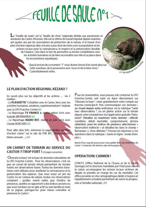 http://files.biolovision.net/franche-comte.lpo.fr/userfiles/proteger/Castor/P1feuillesaule.jpg