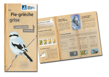 http://files.biolovision.net/franche-comte.lpo.fr/userfiles/proteger/Protectionespces/Plansactions/plaquette-PGG-V5-1.png