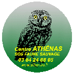 http://files.biolovision.net/franche-comte.lpo.fr/userfiles/proteger/athenasLogofondvertsansRScopiebd.gif