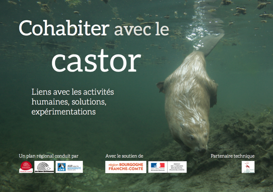 http://files.biolovision.net/franche-comte.lpo.fr/userfiles/publications/Capturedcran2016-05-1015.19.19.png