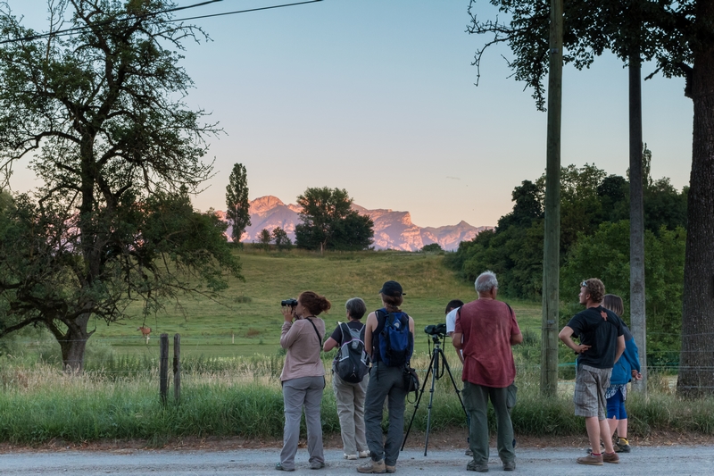 http://files.biolovision.net/haute-savoie.lpo.fr/userfiles/04.07.2016-ProspectionChevcheViolaineGouilloux.jpg