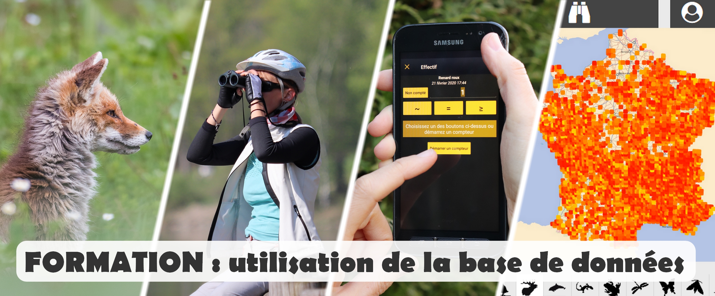 http://files.biolovision.net/haute-savoie.lpo.fr/userfiles/Formation/visuformationnaturalist2.jpg
