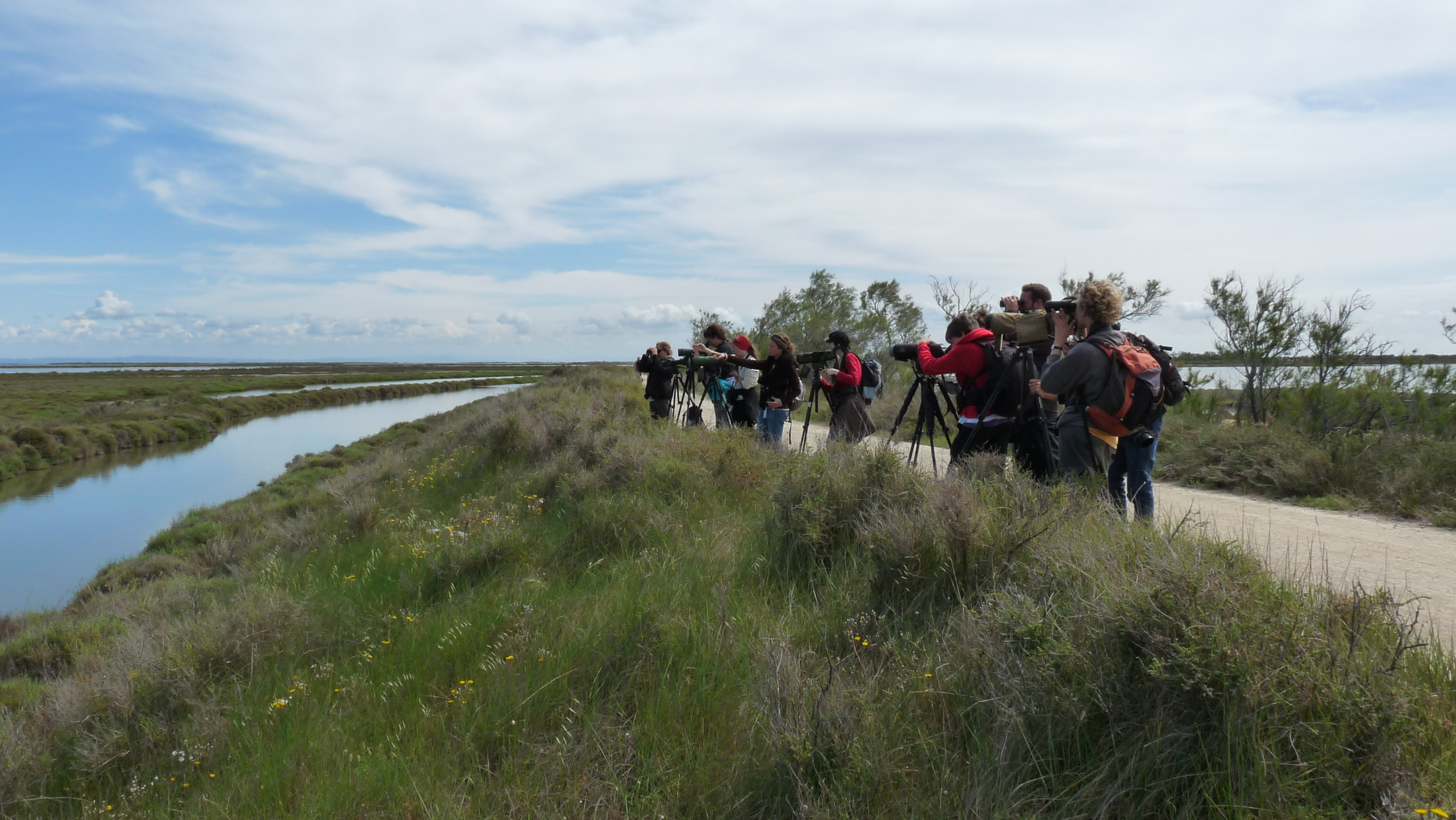 http://files.biolovision.net/haute-savoie.lpo.fr/userfiles/groupejeunecamargue2.JPG