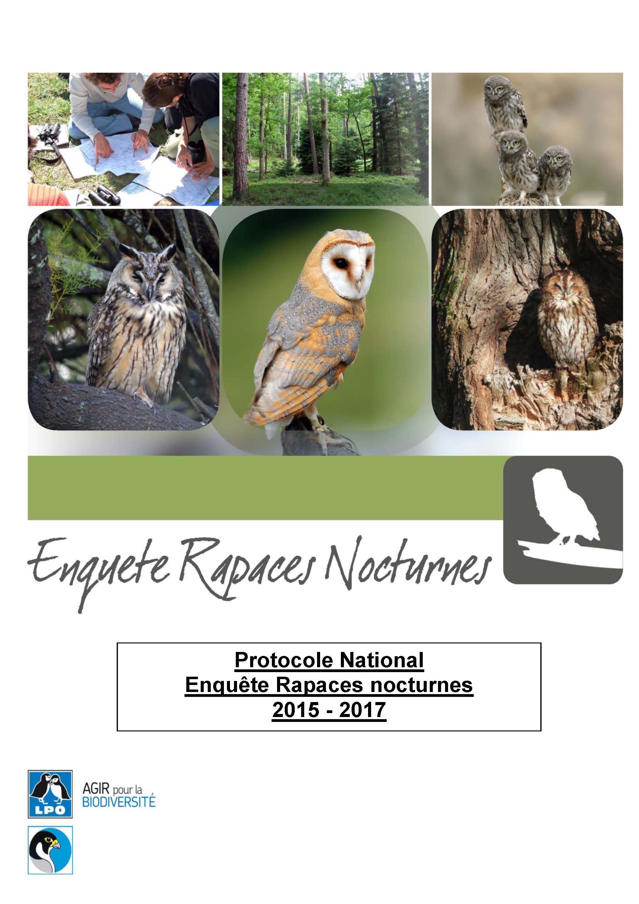http://files.biolovision.net/observatoire-rapaces.lpo.fr/userfiles/EnquteRapacesNocturnes/ProtocoleEnqutenationaleRapacesnocturnes2015-2017VFPage01.jpg