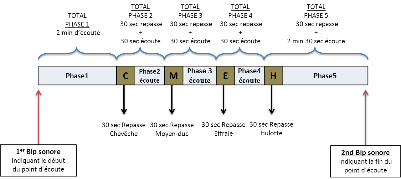 http://files.biolovision.net/observatoire-rapaces.lpo.fr/userfiles/EnquteRapacesNocturnes/SCHEMAREPASSE.png