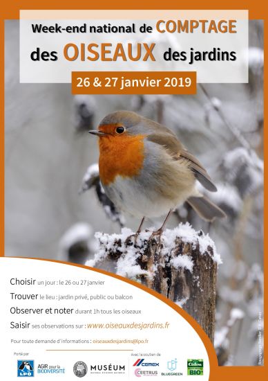 Prévoir la météo en observant les oiseaux