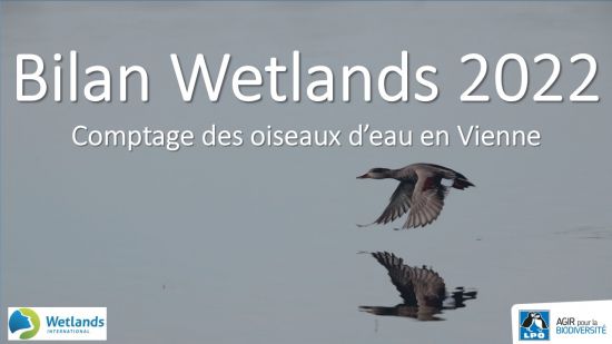 Fin du piégeage à la glu : le Conseil d'État donne définitivement raison à  la LPO - LPO (Ligue pour la Protection des Oiseaux) - Agir pour la  biodiversité