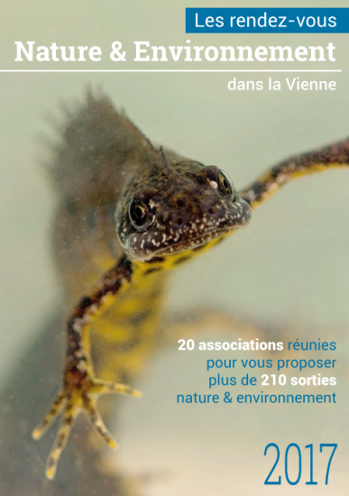 rencontre chaude vienne