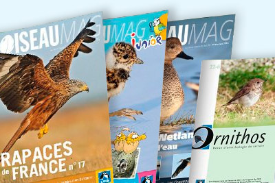 Enfants, curieux de nature, ornithologues confirmés... Il existe une revue LPO pour chacun ! http://files.biolovision.net/vienne.lpo.fr/userfiles/BiodivDecouvrirLire400px.jpg