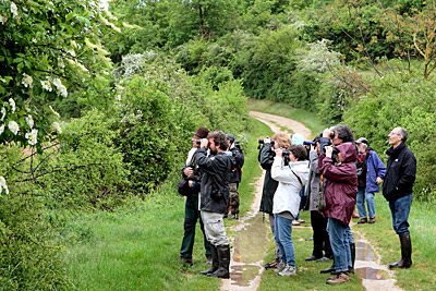 Les sorties LPO vous mènent à la découverte de la biodiversité du département. ©Alain B. http://files.biolovision.net/vienne.lpo.fr/userfiles/BiodivMiliterSensibiliser400px.jpg