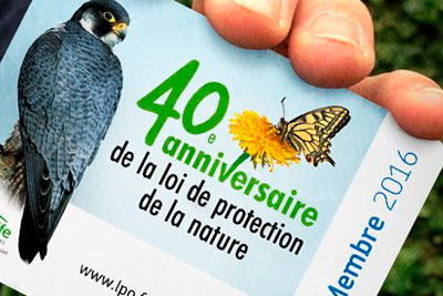 Rejoignez les 42 000 adhérents du réseau LPO ! http://files.biolovision.net/vienne.lpo.fr/userfiles/BiodivSoutenirAdhrerCarte16-400px.jpg