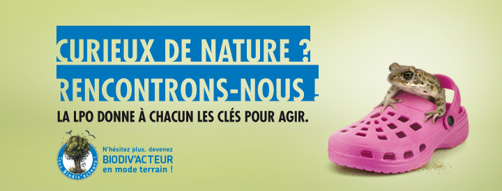 http://files.biolovision.net/vienne.lpo.fr/userfiles/BiodivactDecouvrirGrenouille.jpg