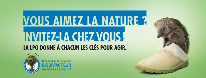http://files.biolovision.net/vienne.lpo.fr/userfiles/BiodivactInviteznatureHerisson.jpg