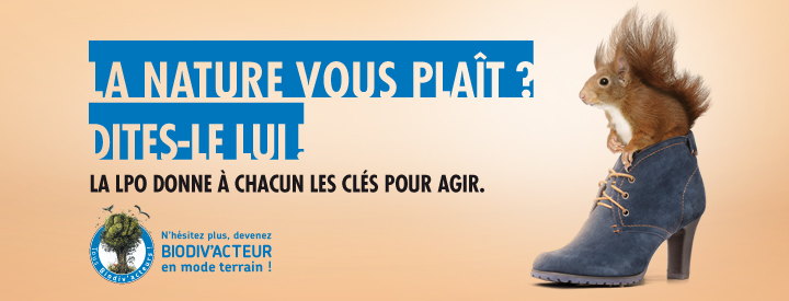 http://files.biolovision.net/vienne.lpo.fr/userfiles/BiodivactSoutenirEcureuil.jpg