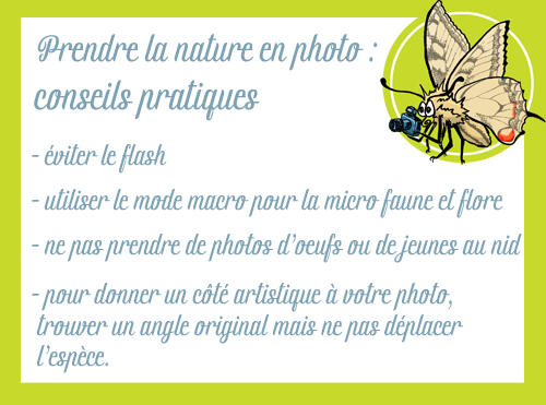 conseils pour prendre la nature en photo.png