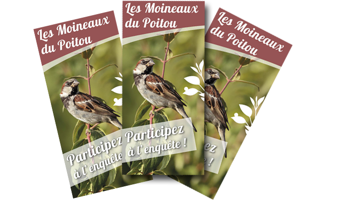 http://files.biolovision.net/vienne.lpo.fr/userfiles/dpliantmoineauxdupoitou.png