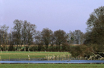 Etang de la Pétolée © Rémi Cabirol