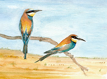 Aquarelle © Véronique Gauduchon