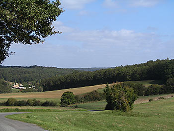 En bordure de la forêt de Moulière © Thierry Dubois