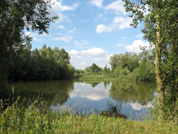Plan d'eau de Laumont, Naintré © Véronique Gauduchon