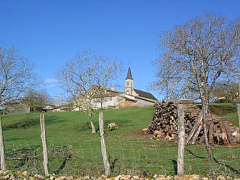 Prairie à chevêche © Johan Tillet