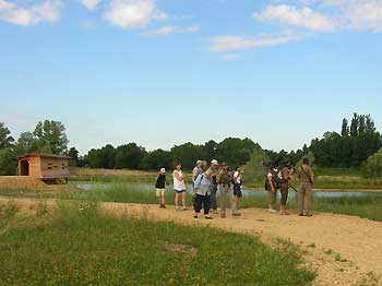 Réserve ornithologique de Saint-Cyr © Hélène Broucke