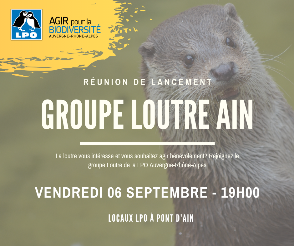 http://files.biolovision.net/www.faune-ain.org/userfiles/GroupeLoutreAin1.png