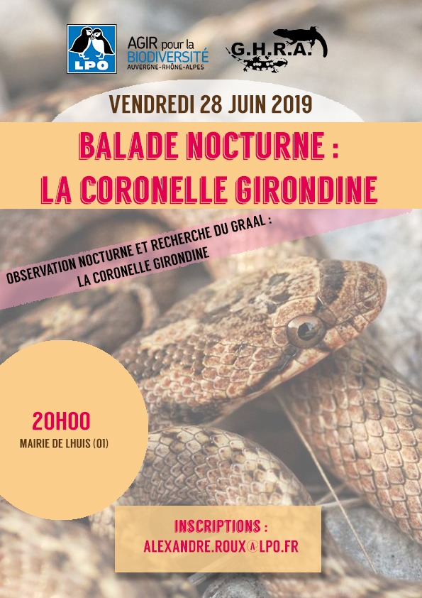 http://files.biolovision.net/www.faune-ain.org/userfiles/affichecoronelle.jpg