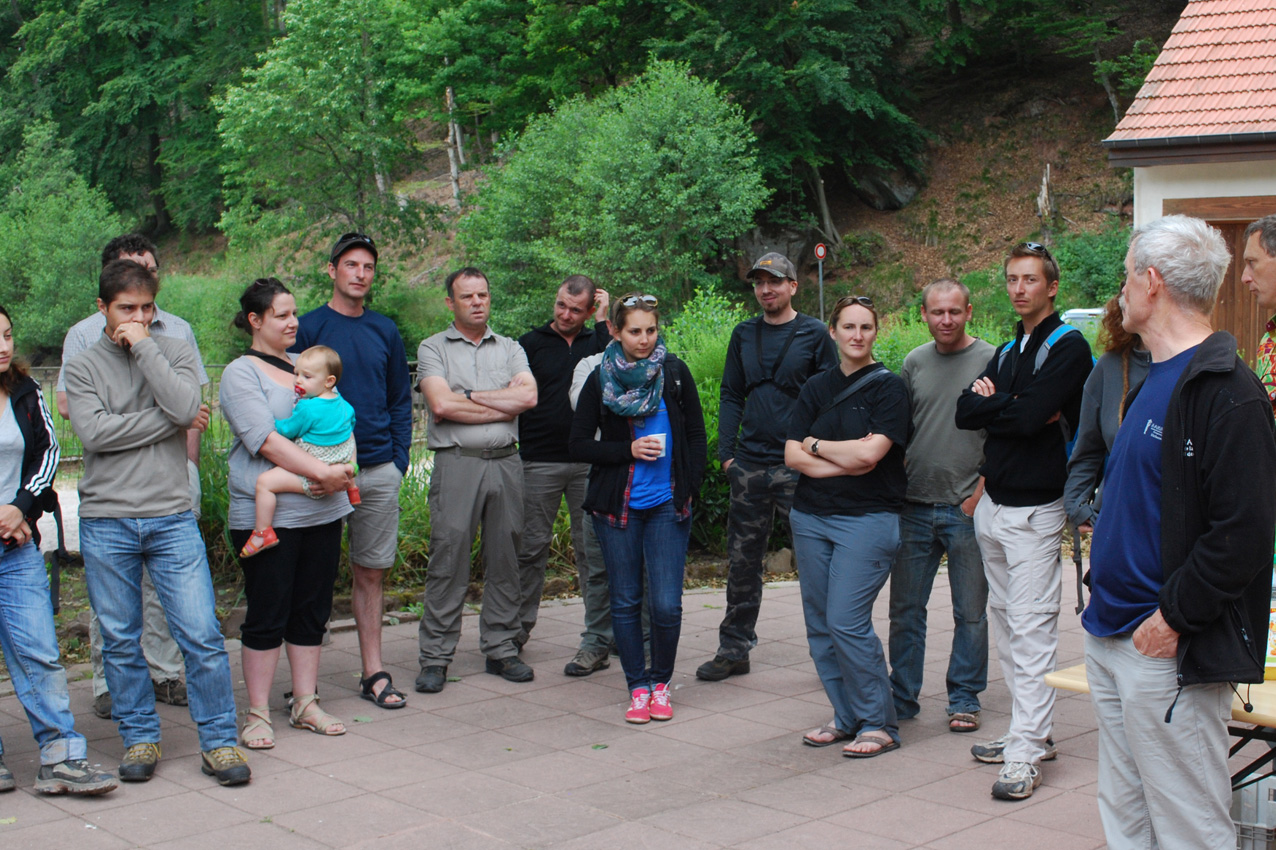 http://files.biolovision.net/www.faune-alsace.org/userfiles/bilan/24heures2014/DSC0185.jpg