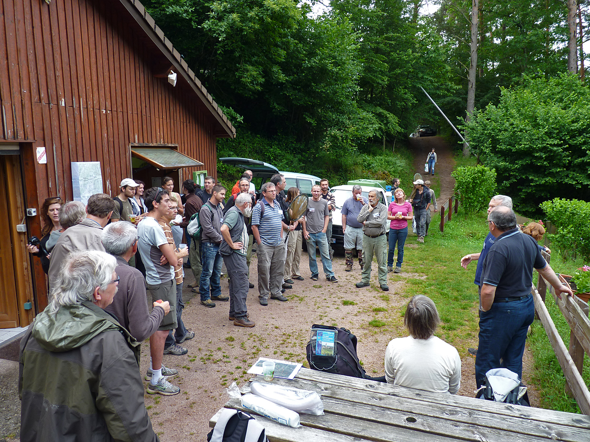 http://files.biolovision.net/www.faune-alsace.org/userfiles/bilan/24heures2015/GroupeRM.jpg