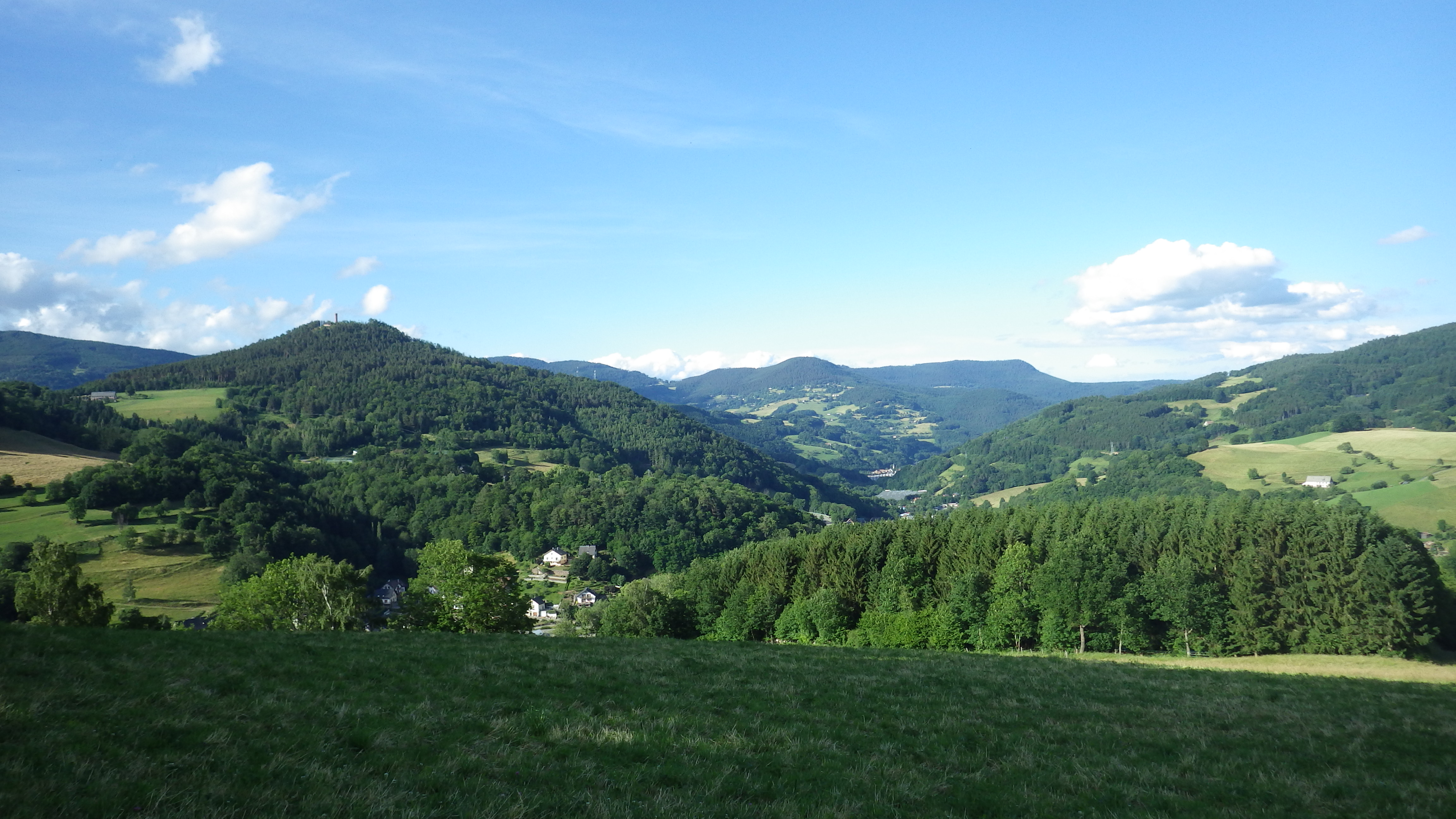 http://files.biolovision.net/www.faune-alsace.org/userfiles/bilan/24heures2014/PaysageFG.JPG