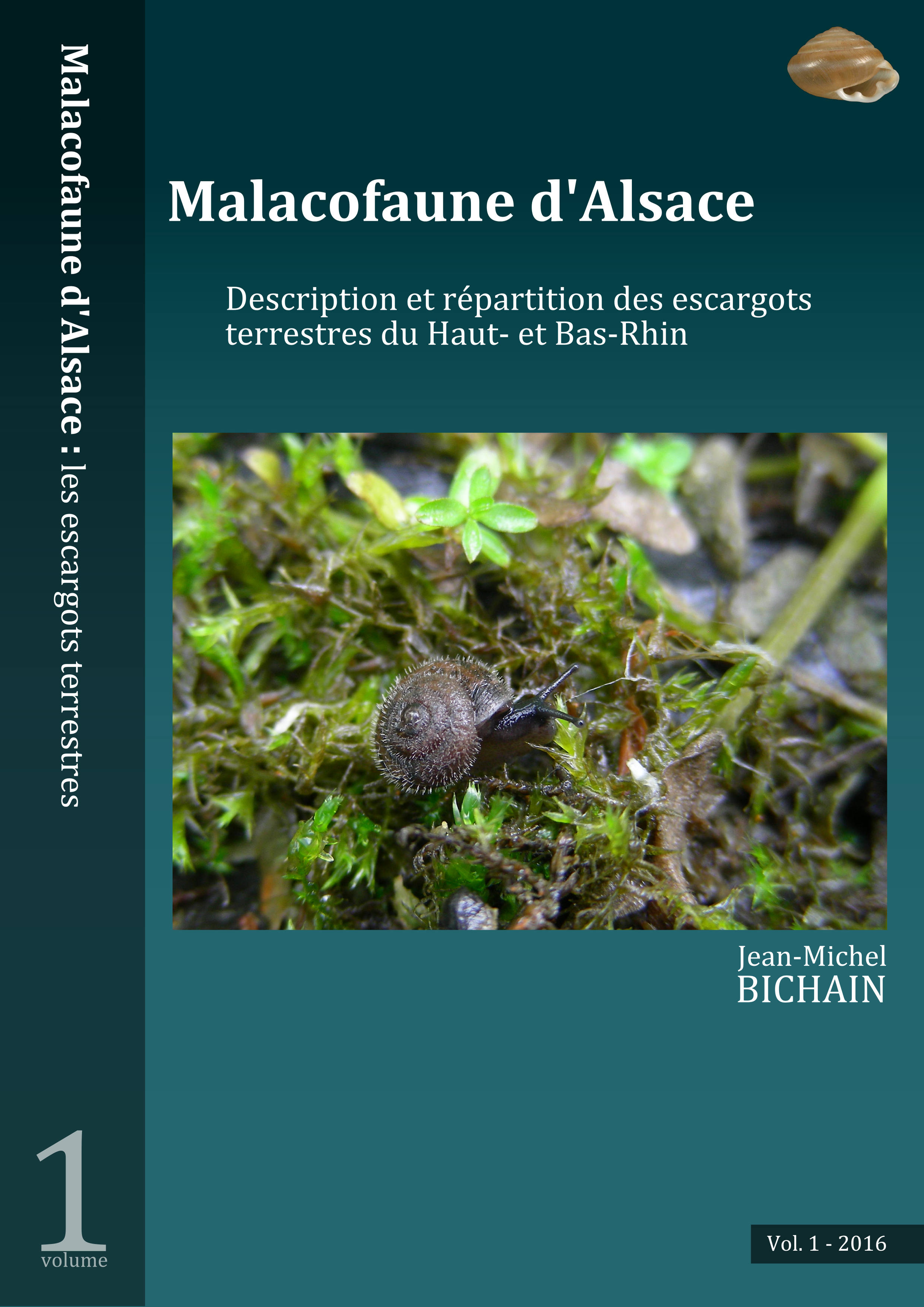 http://files.biolovision.net/www.faune-alsace.org/userfiles/mollusques/escargot2016.jpg