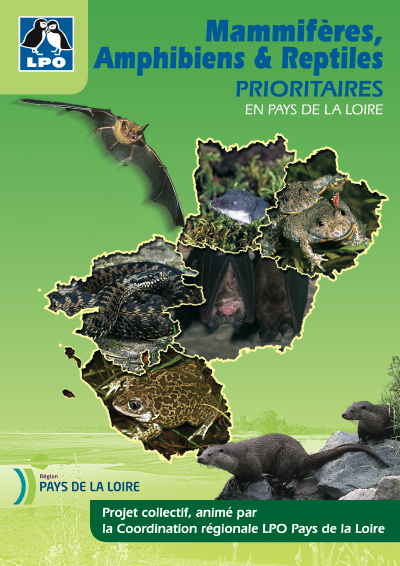 http://files.biolovision.net/www.faune-anjou.org/userfiles/publis/livresbrochures/MammAmphReptPrioritairesPDL.png