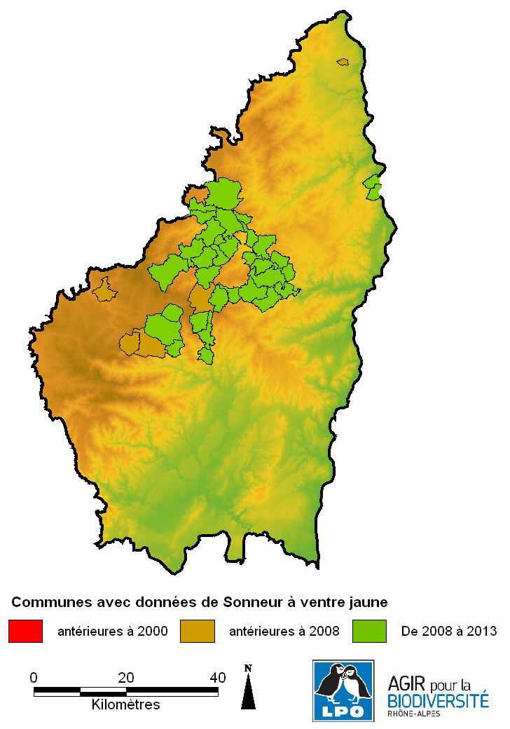 http://files.biolovision.net/www.faune-ardeche.org/userfiles/SonneurArdche2013_1.JPG