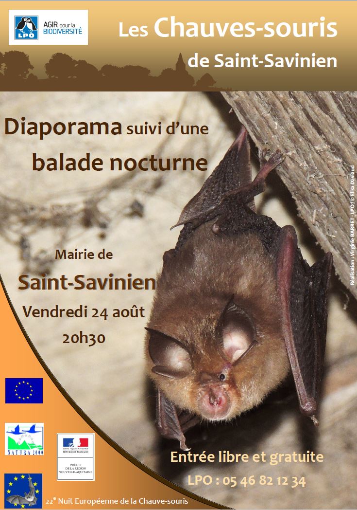 http://files.biolovision.net/www.faune-charente-maritime.org/userfiles/Chiro/nuitchiro2018Affiche.JPG