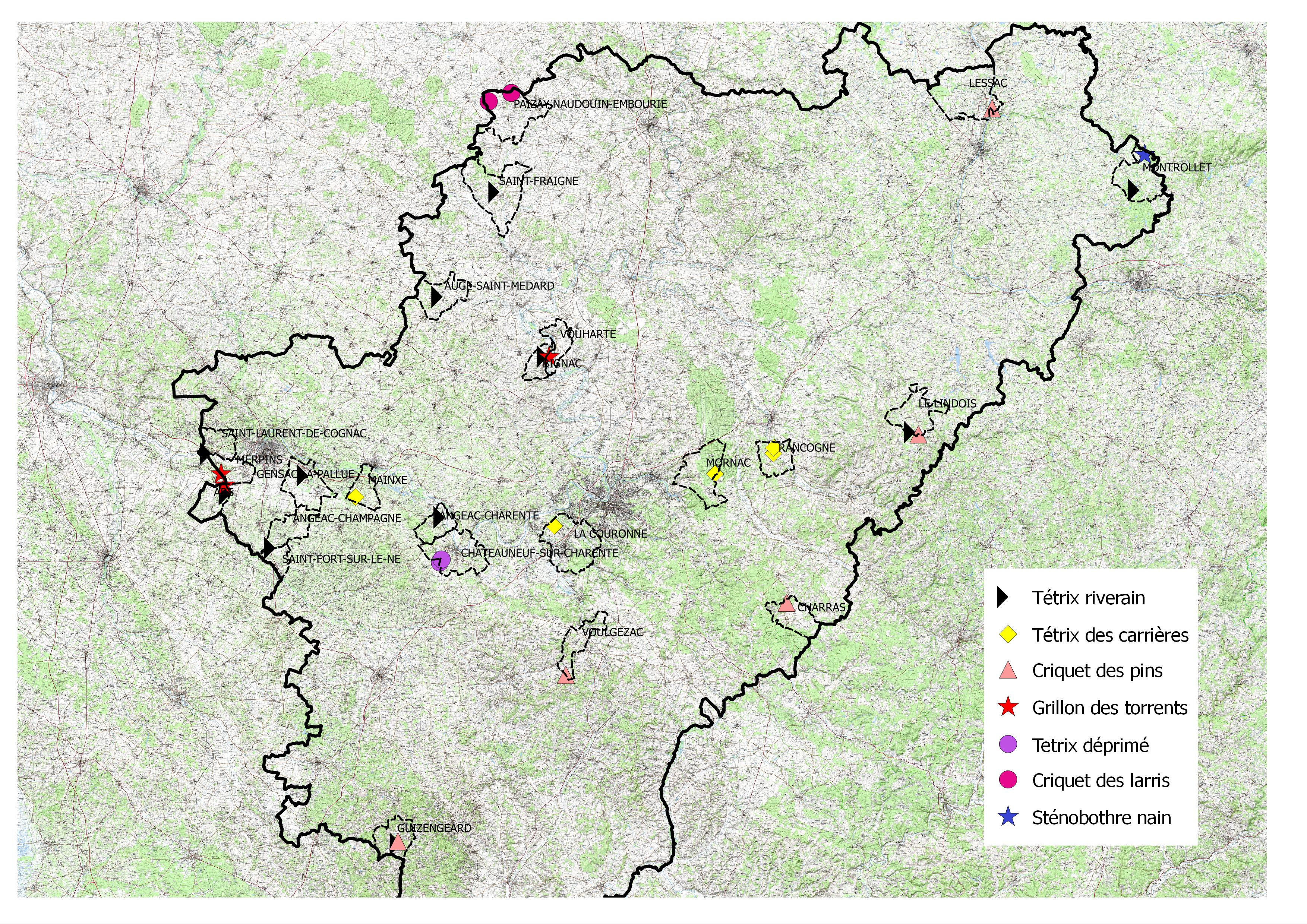 http://files.biolovision.net/www.faune-charente.org/userfiles/Ortopthere/rpartitionespcesnouvelles.jpg