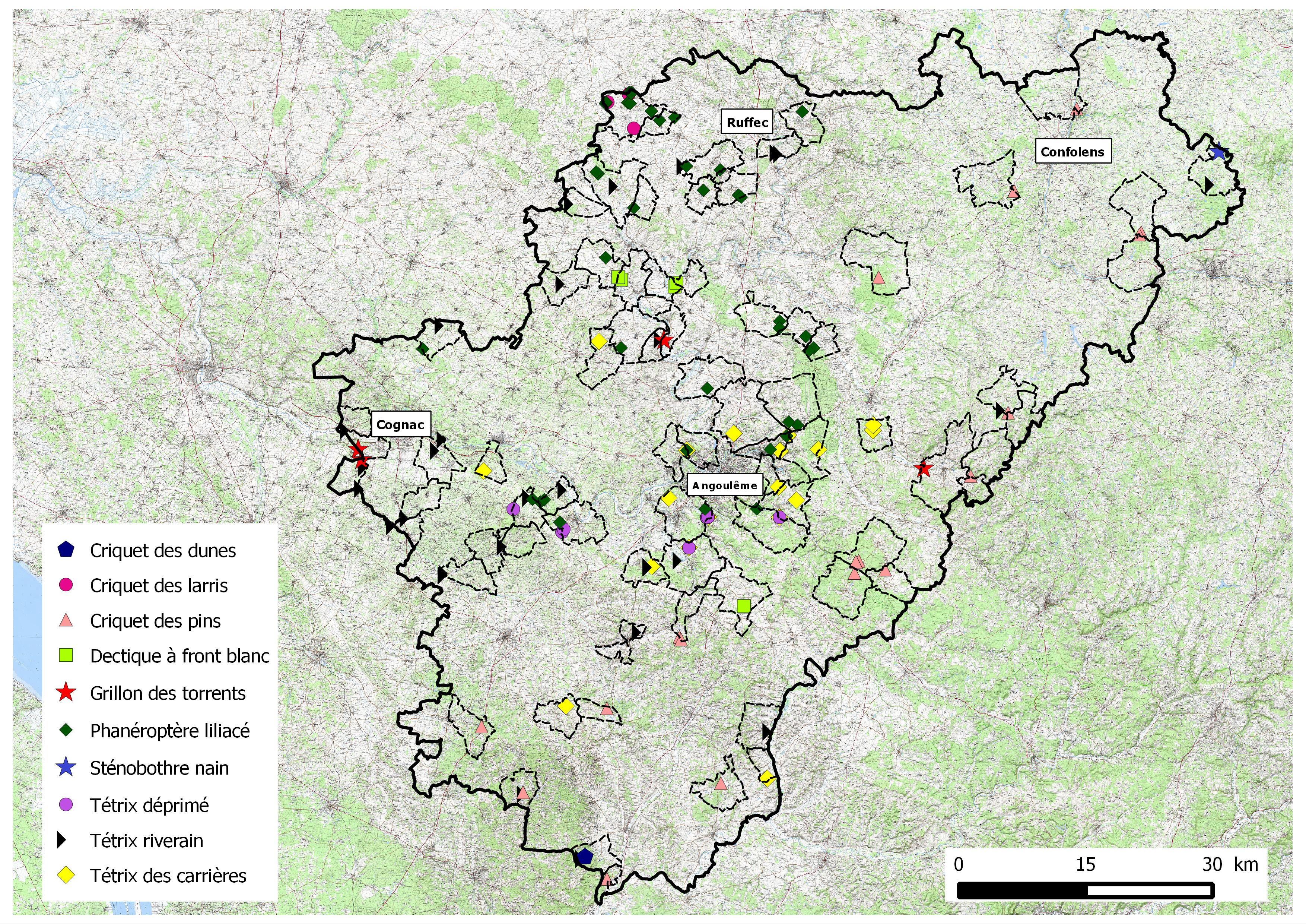 http://files.biolovision.net/www.faune-charente.org/userfiles/newsp.2015.jpg