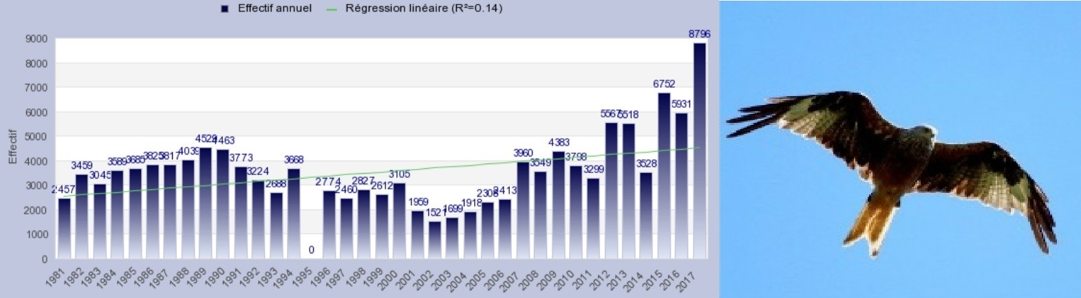 http://files.biolovision.net/www.faune-france.org/userfiles/AtlasOiseauxMigrateurs/graph.jpg