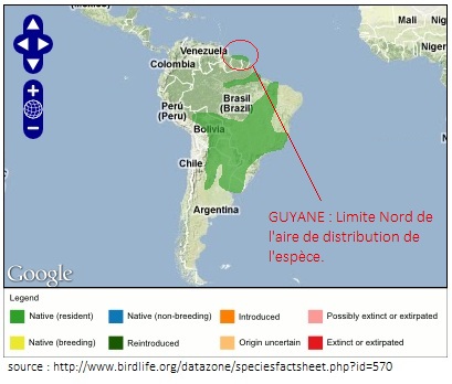 http://files.biolovision.net/www.faune-guyane.fr/userfiles/Documentsdivers/news/rpartitionpicdominicain.jpg