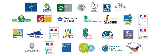 http://files.biolovision.net/www.faune-martinique.org/userfiles/Bandeaulogostouspetit_2.jpg