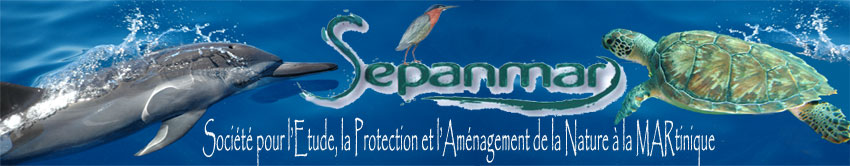 http://files.biolovision.net/www.faune-martinique.org/userfiles/logo-sepanmar.jpg