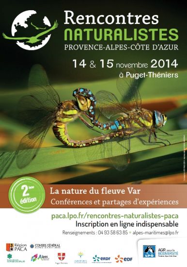 Inventaire et évaluation des vieilles forêts des Pyrénées de Midi-Pyrénées