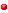 Esp&egrave;ce plut&ocirc;t rare