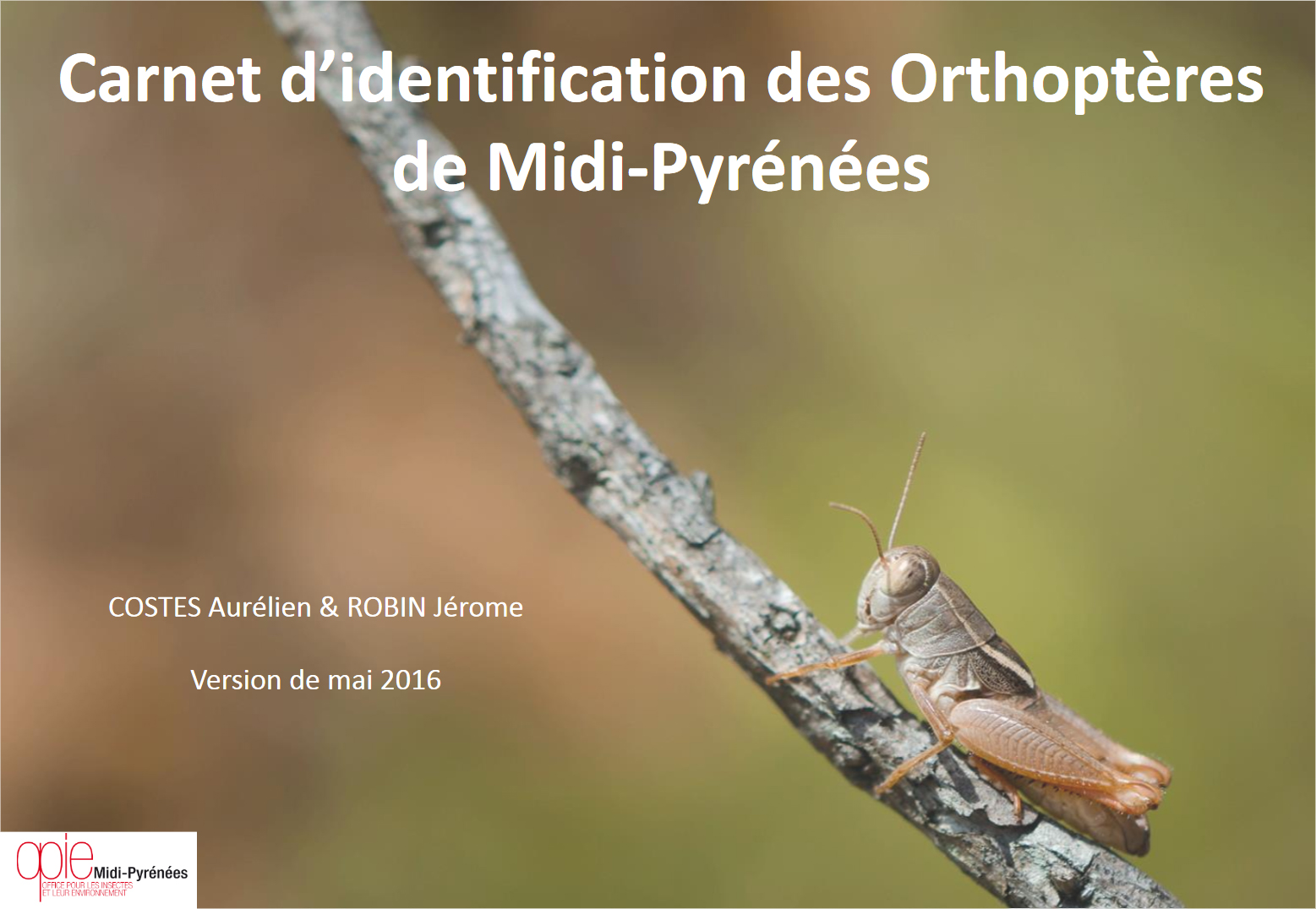 http://files.biolovision.net/www.faune-tarn-aveyron.org/userfiles/page5.jpg