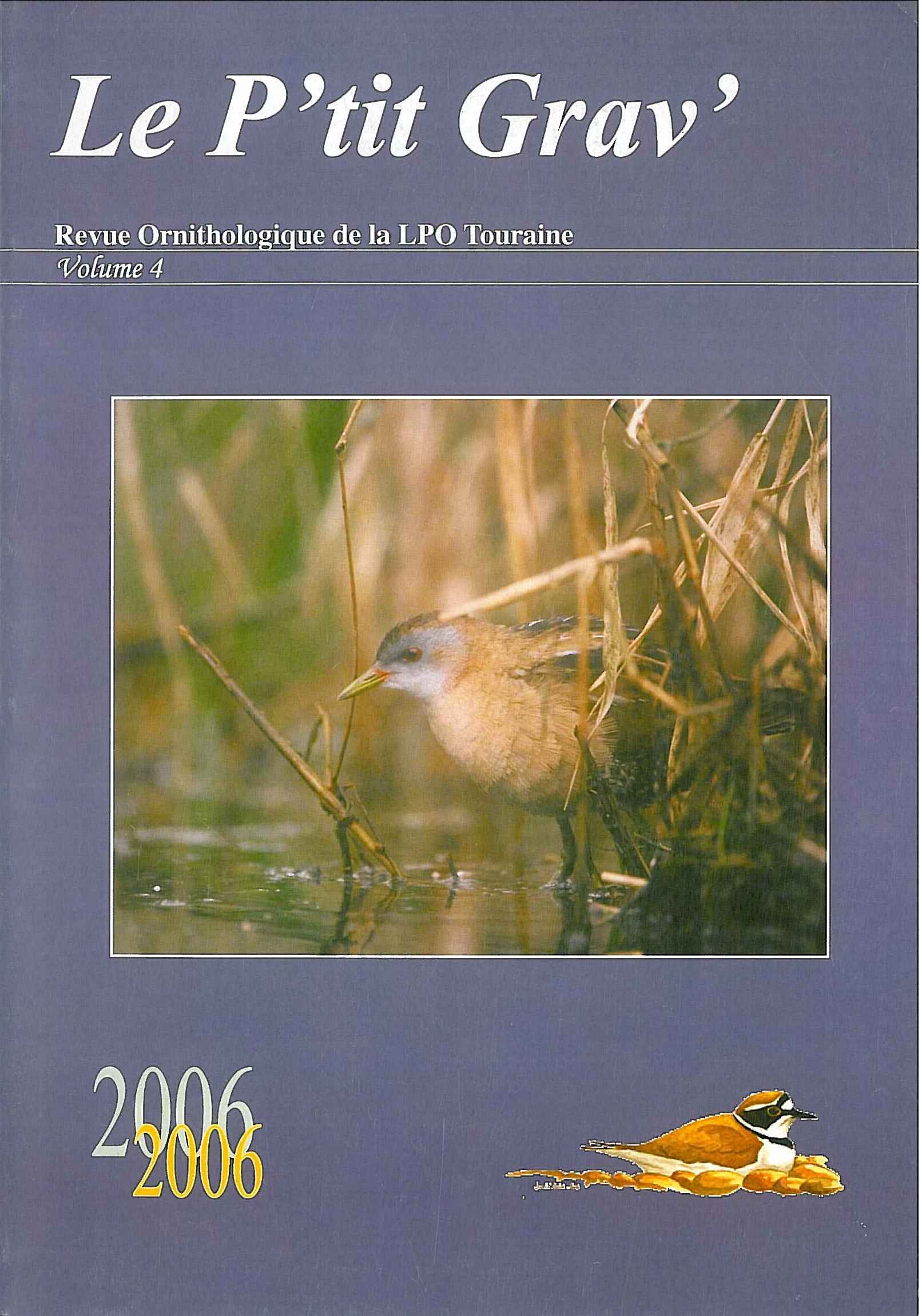 http://files.biolovision.net/www.faune-touraine.org/userfiles/MonDossier/PtitGravvol4.jpg