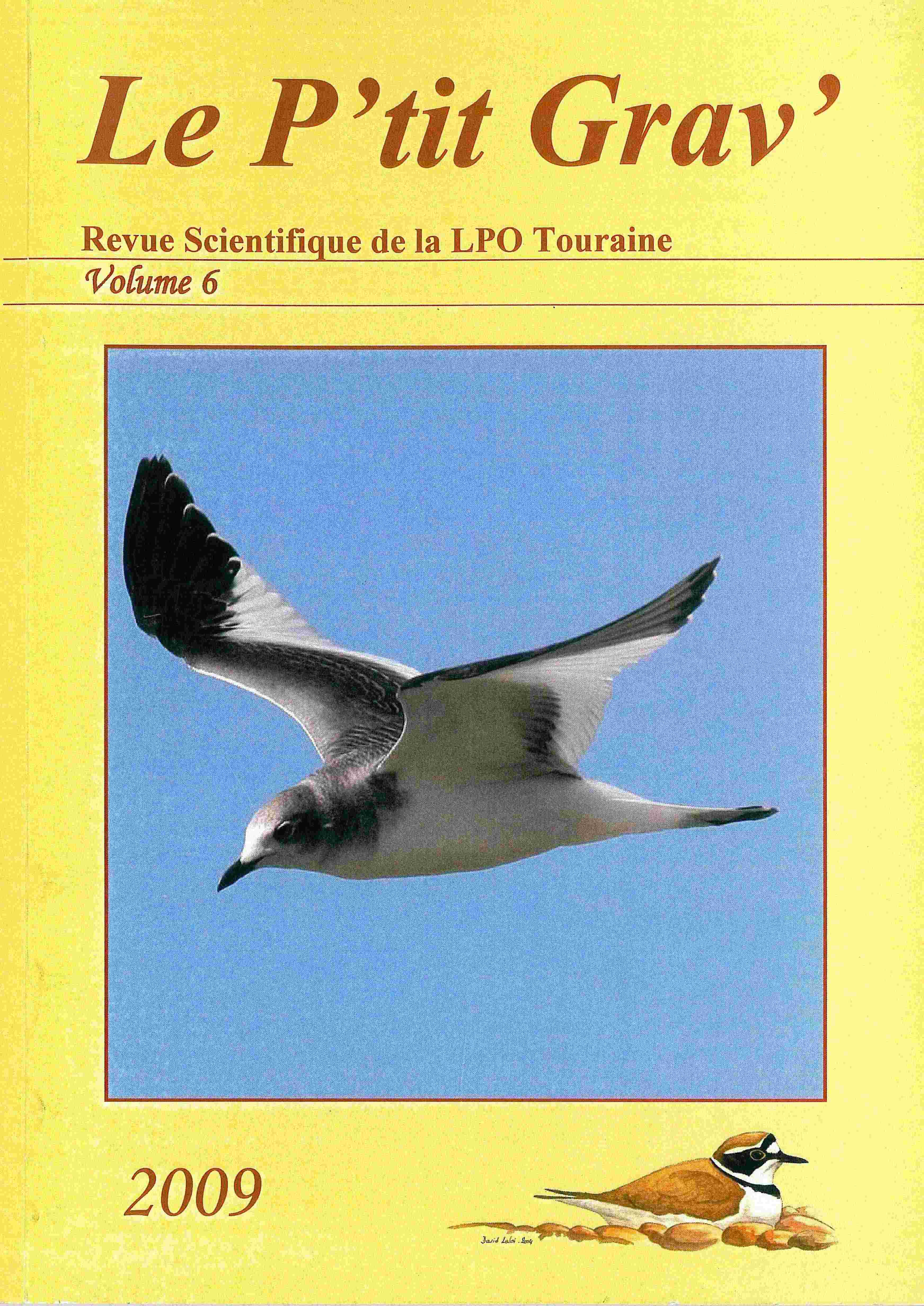 http://files.biolovision.net/www.faune-touraine.org/userfiles/MonDossier/PtitGravvol6.jpg