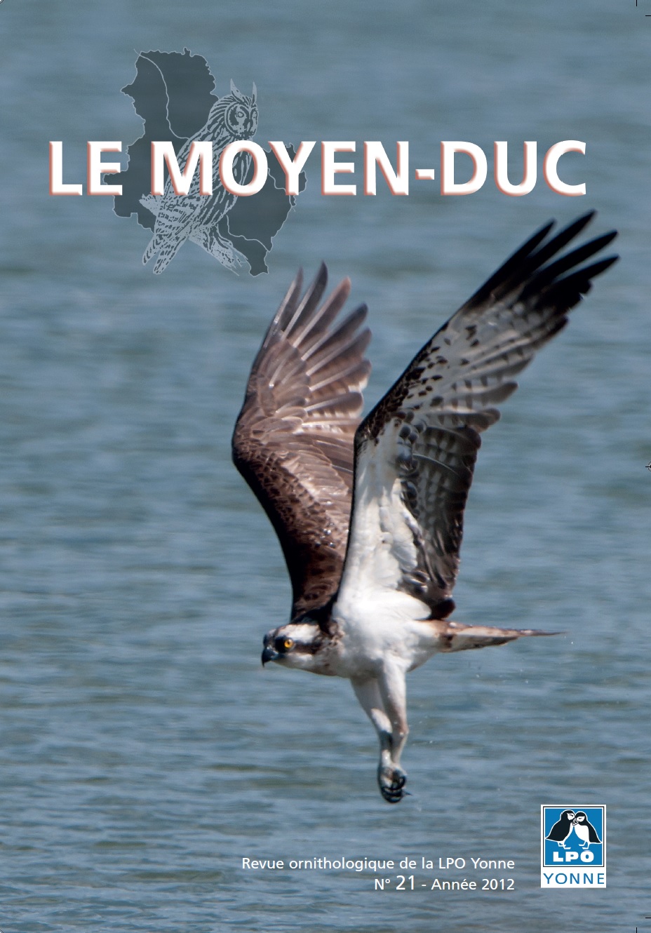 http://files.biolovision.net/www.faune-yonne.org/userfiles/LeMoyenduc/2012/CouvertureleMoyen-ducn21.jpg