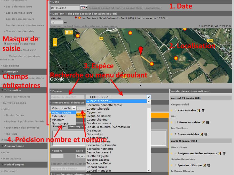 http://files.biolovision.net/www.faune-yonne.org/userfiles/TutorielpourFauneyonne/TutopourFY-11.jpg