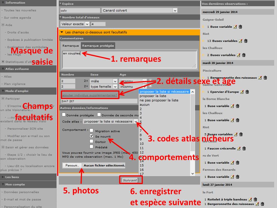 http://files.biolovision.net/www.faune-yonne.org/userfiles/TutorielpourFauneyonne/TutopourFY-12.jpg